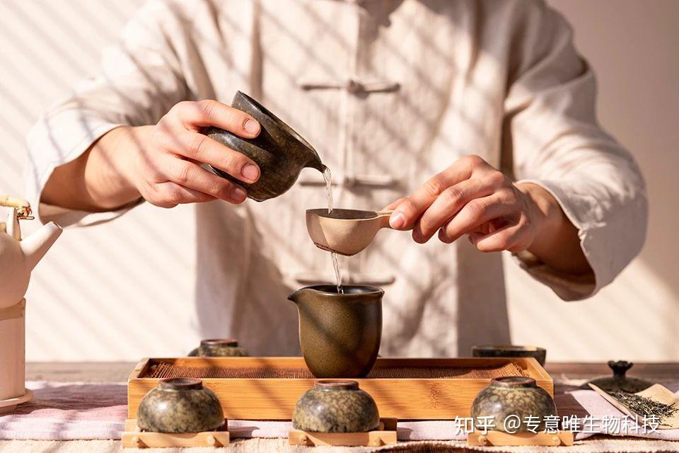 “健康中国”视野下的茶疗文化传承与创新 - 知乎