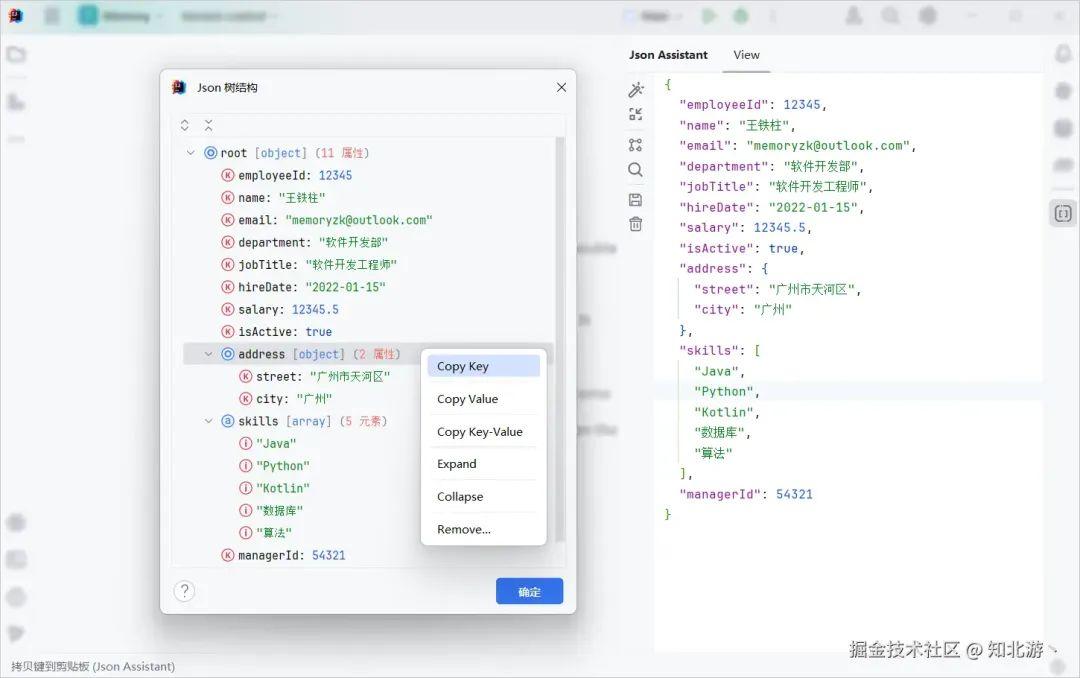 一款必备的 IDEA 神级插件，轻松搞定繁杂的 JSON 格式化 - 知乎