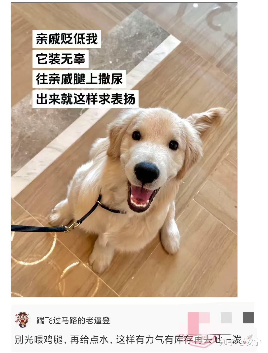 有哪些笑话你再次听到还是会笑? - 知乎