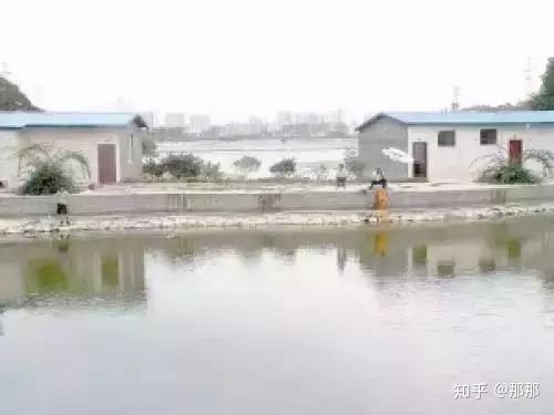 北京公司活动场地_活动场地布置图_厦门活动场地