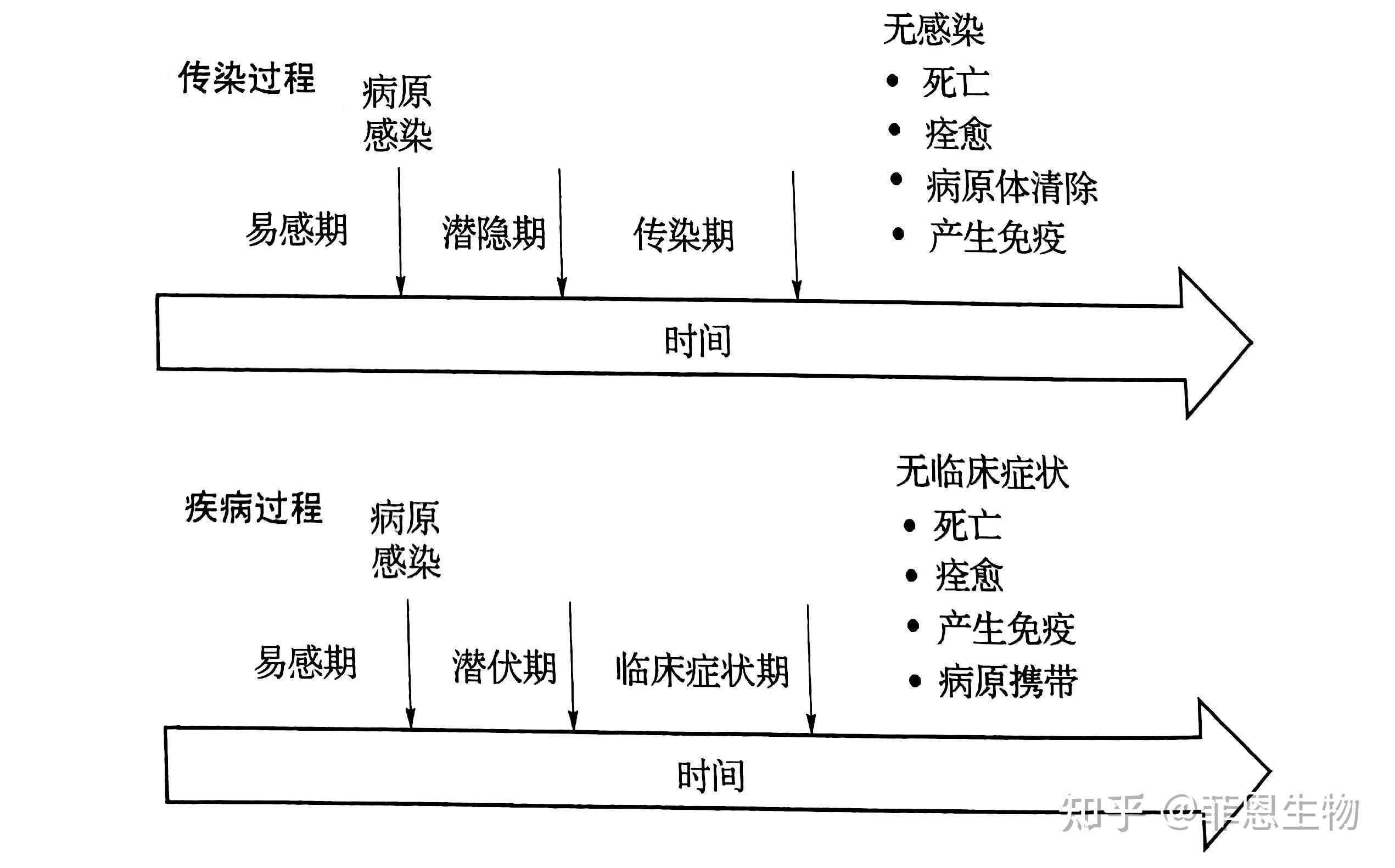 传染病常见6种类型及5种传播方式! - 知乎