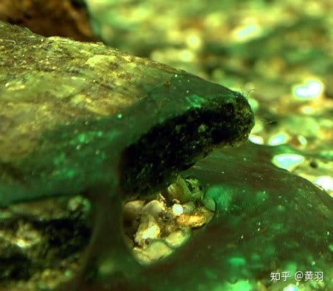 3分钟了解水藻防治