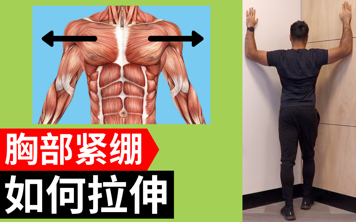 在家怎么练胸下外侧 v2-9079390be3f2af4f453f1f4f46e26723_1440w.jpg?source=172ae18b