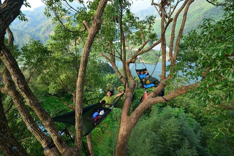 和萌物熊猫一起攀树探索大自然