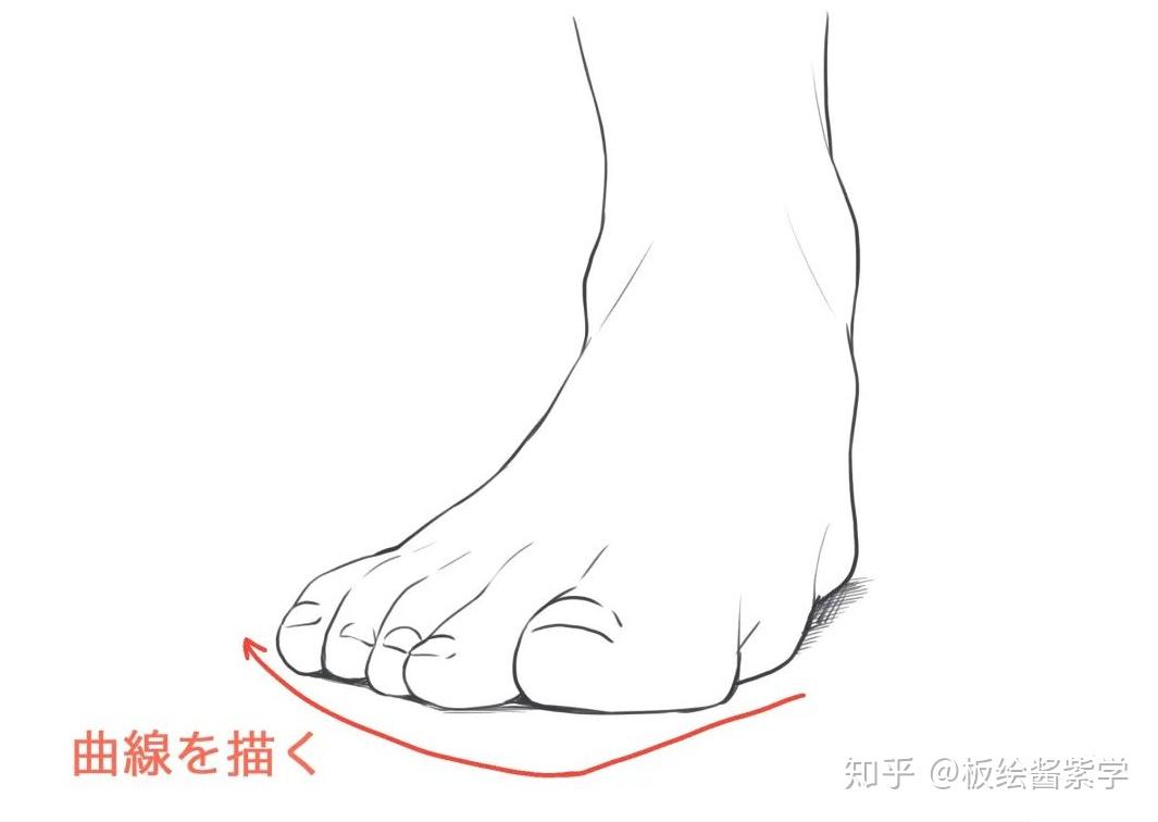 板绘入门教程脚的画法教你如何画出好看的脚还有一波脚的素材哟