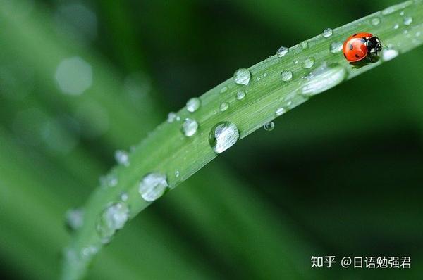 雨の名前 日本人对自然的纤细感 知乎