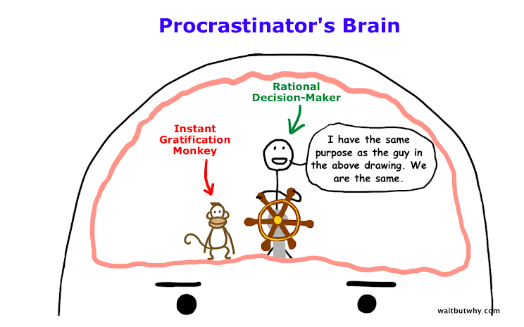 我们还有个小宠物——它就是及时享乐小猴子(instant gratification