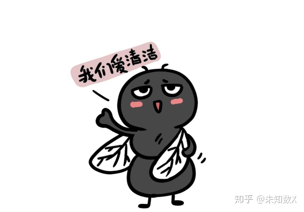 其实苍蝇搓手的确是在清理身体,它门不仅搓手还会搓脚,,搓脸,搓翅膀