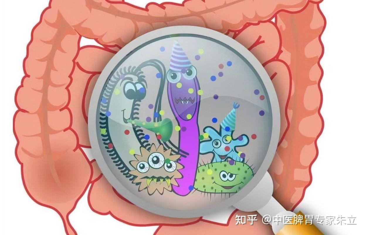 肠道菌群失调的原因与症状