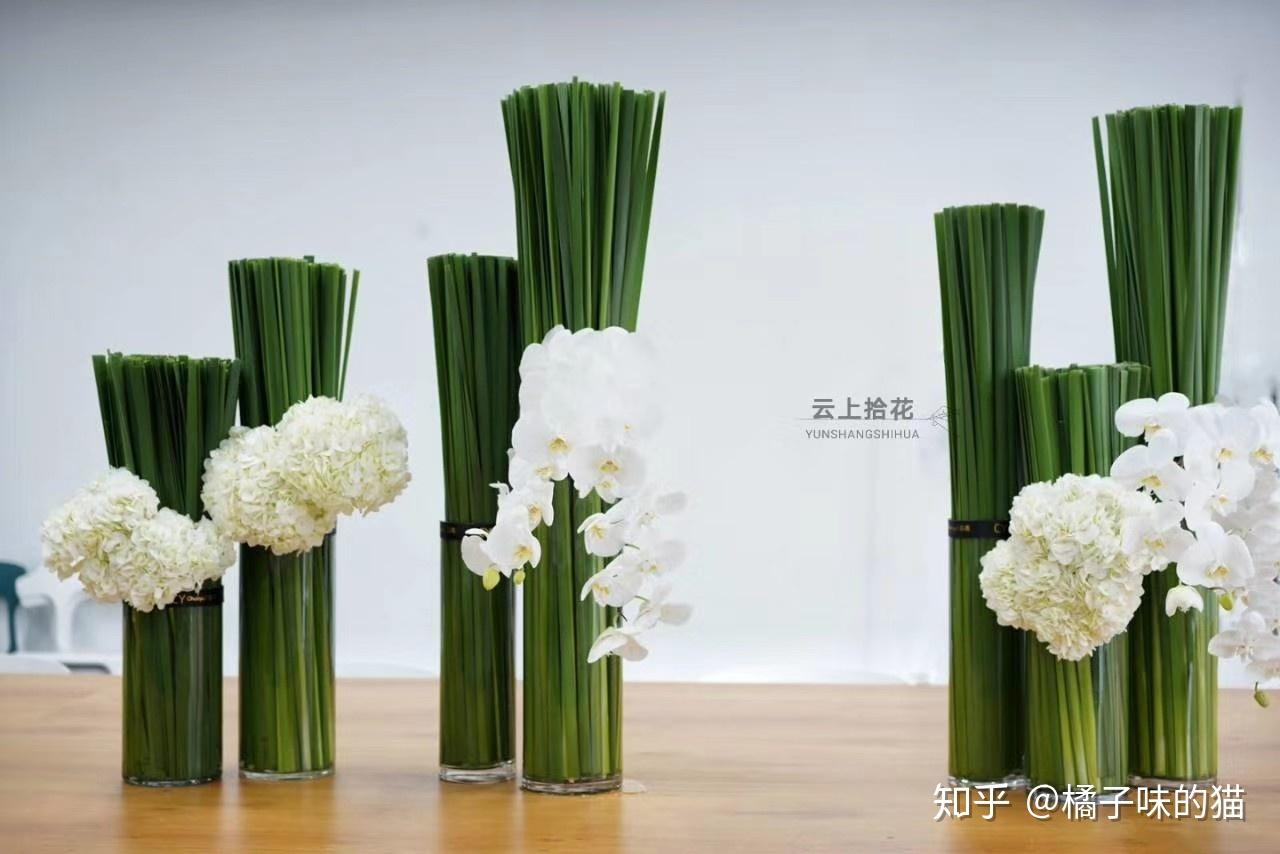 花艺师们最爱的叶材推荐