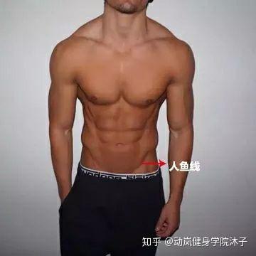 男生人鱼线的4个等级,80%的人都是第3级,你是第几级? - 知乎
