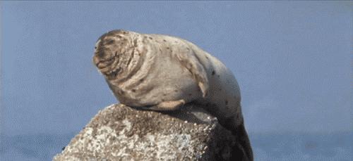 跳跳糖曾经被禁 因为加可乐喝会爆炸 糖糖的冷知识 知乎