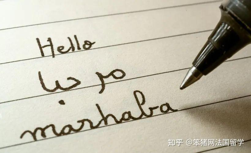 官方认证全球十大最难学的语言排名第一果然还是ta