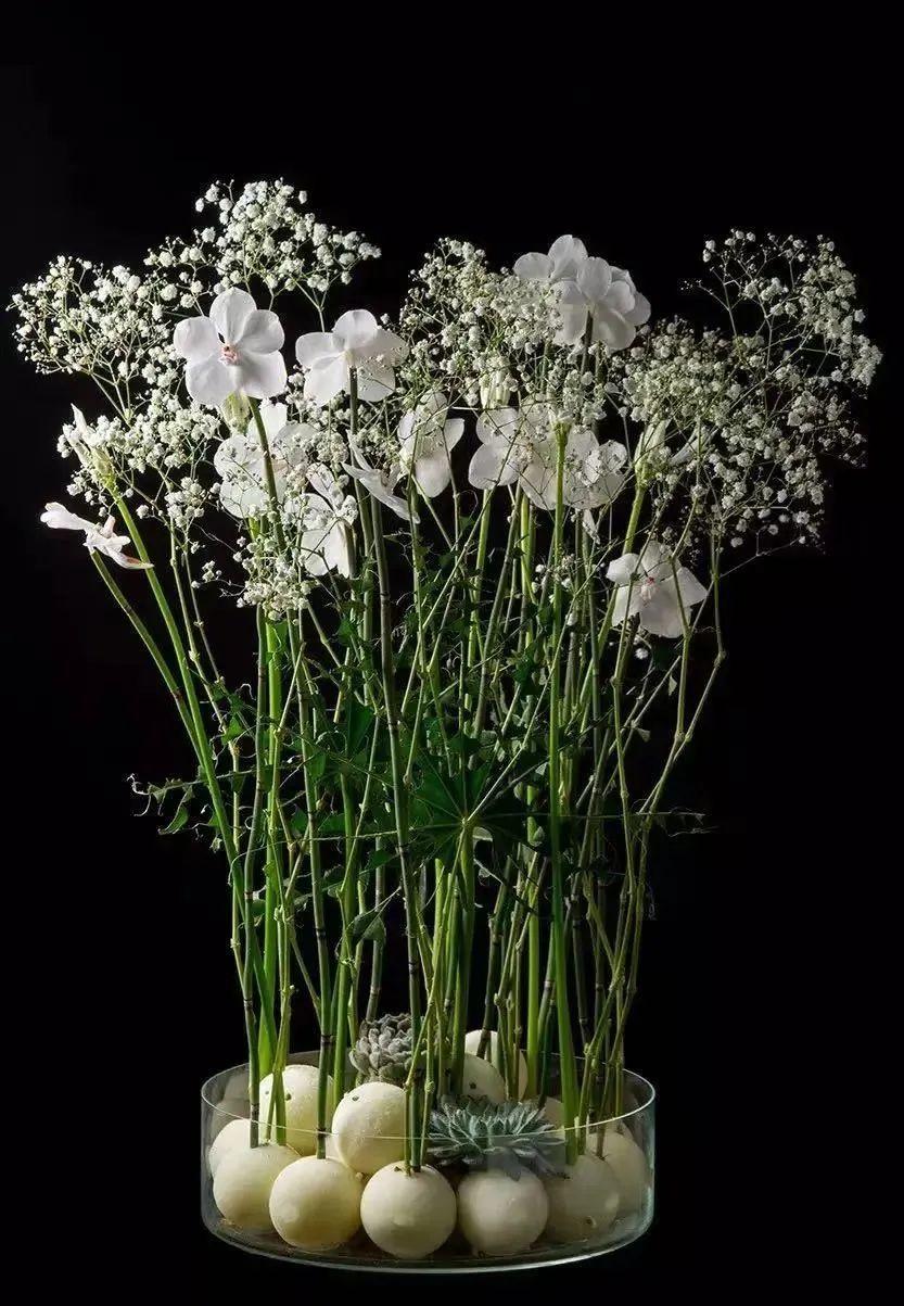 花艺俄罗斯国宝级花艺师roman亲身教学带你领略真正的现代花艺美学