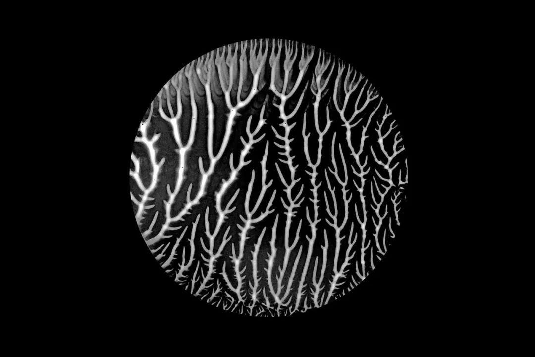 科学摄影微观世界