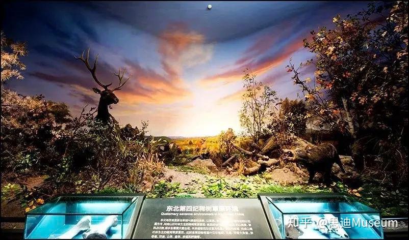 大庆博物馆《东北第四纪自然环境》展区属自然历史类陈列