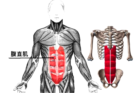 另一类腰痛 腹直肌肌筋膜疼痛 知乎