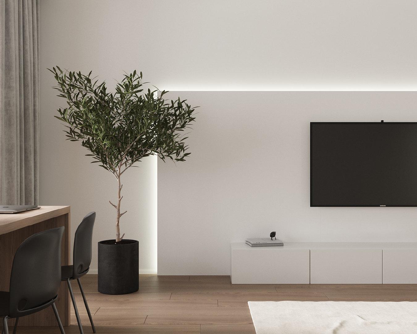 极简主义者的家居是什么样的就是这样的啊