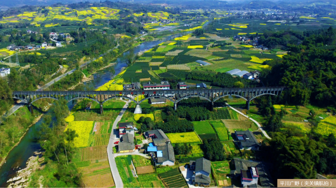 《乡间晨韵》刘海林 / 拍摄于崇州市东关镇(一等奖)《长龙》王进