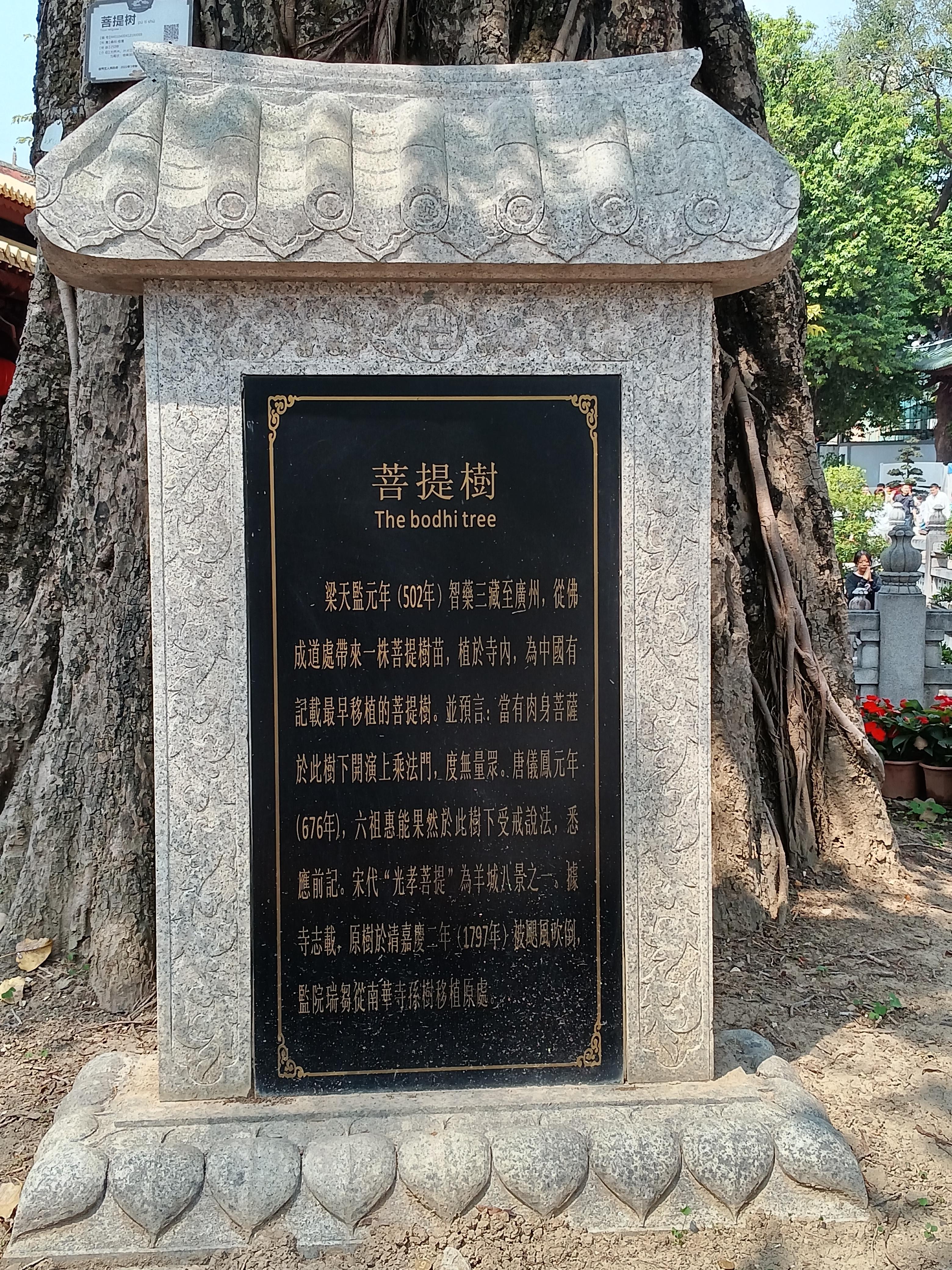 文旅寻宝:广州光孝寺