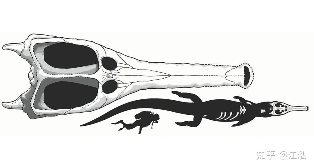 君王马奇莫鳄:来自北非的白垩纪海中巨鳄 