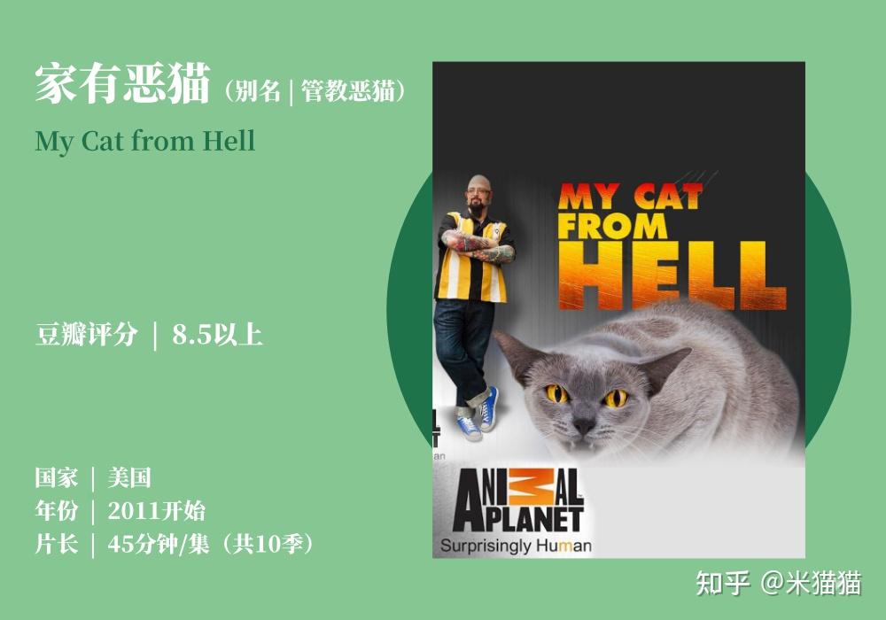 【3】动物星球《家有恶猫MyCat FromHell》第1-10季全96集英语外挂中字官方纯净版1080P/MKV/227G管教恶猫