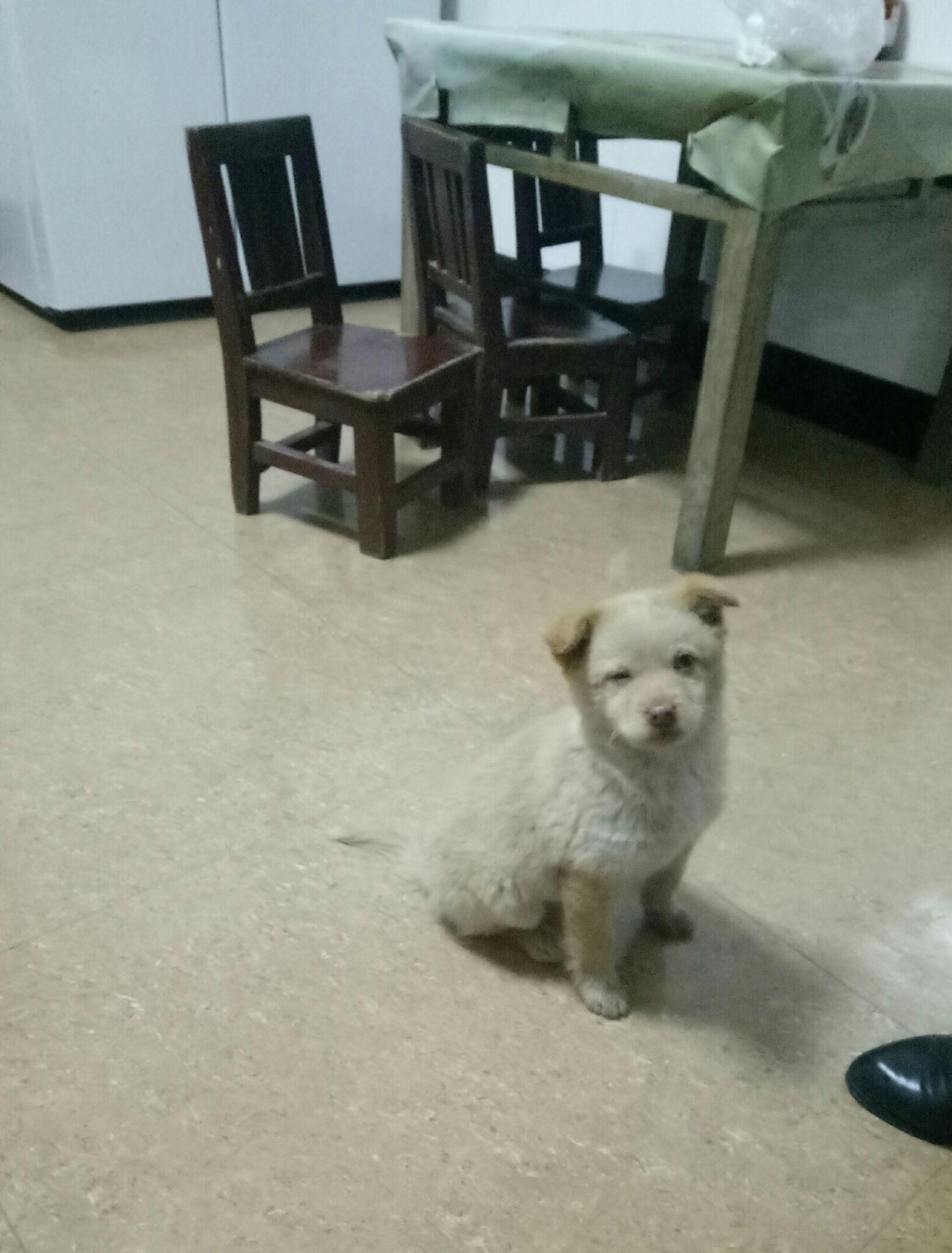 老鼠和猫一起睡猜成语_看图猜成语