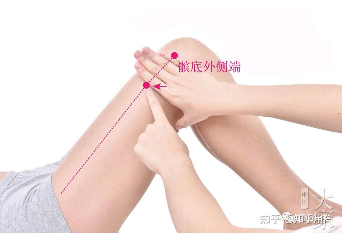 15-伏兔穴,髀关穴