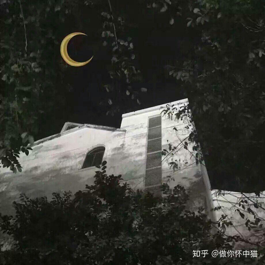 如何治愈回避型依恋人格?