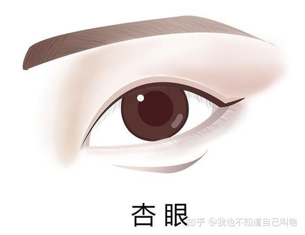 中国人常见的10种眼型,你是哪一种? - 知乎