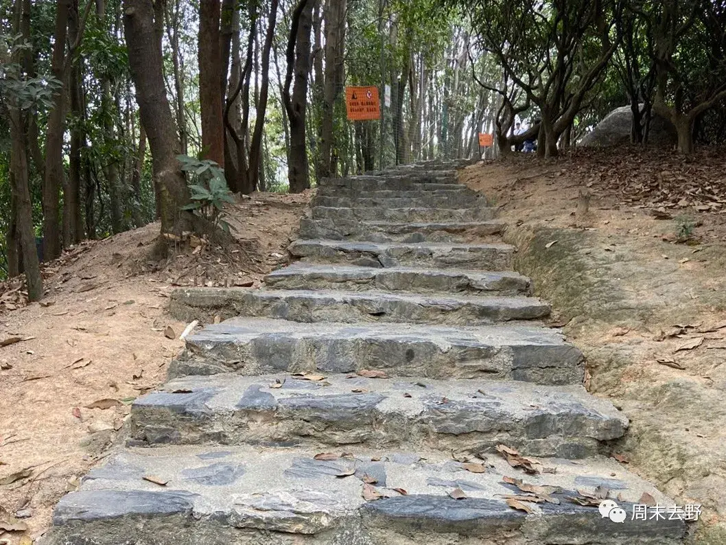 深圳八景之一羊台山羊台山森林公園戶外徒步