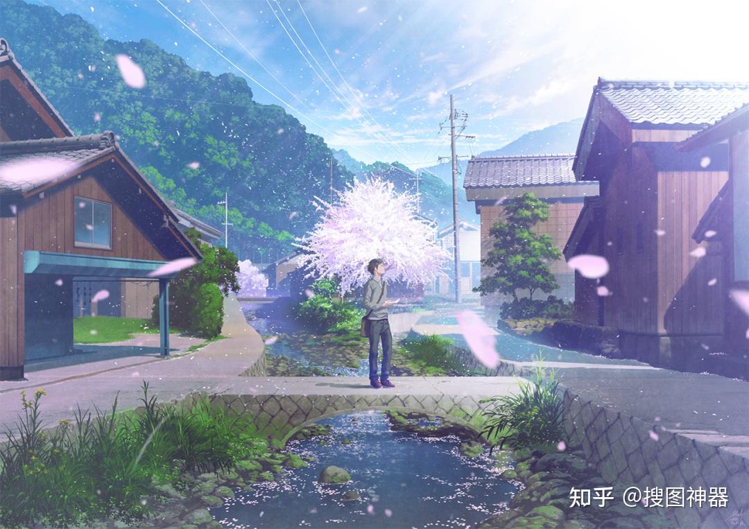 p站特辑│樱花飘落动漫中那些美到犯规的樱花场景