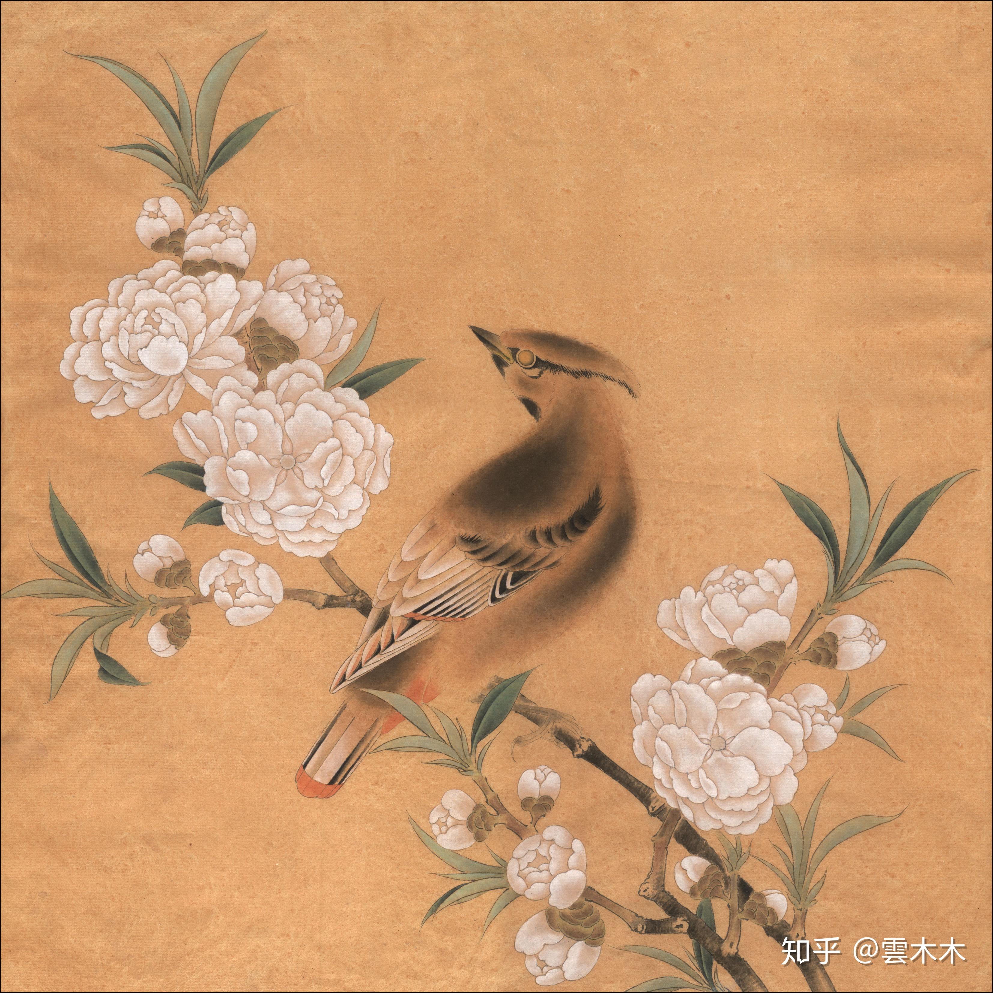 宋小品《桃花山鸟图  》国画工笔,绘画步骤图