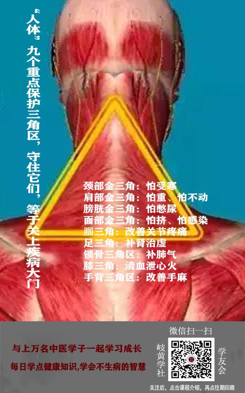 “人体”九个重点保护三角区 - 知乎