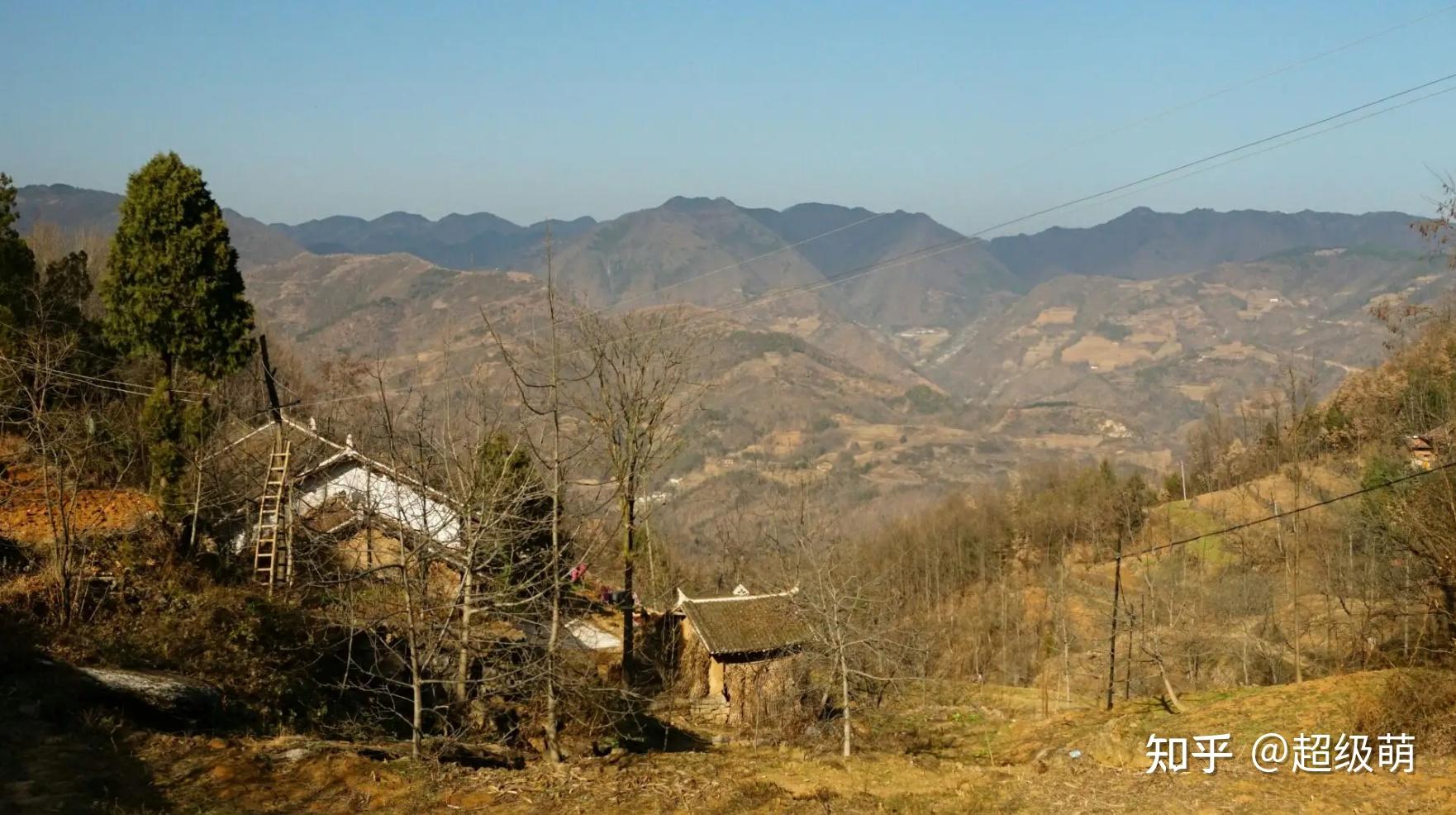 一名陕南农村博士的突围与挣扎