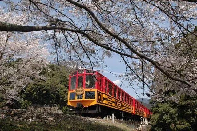 嵯峨野小火車