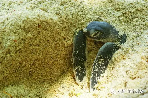 史上最好的沙巴小众旅行攻略，没有之一。