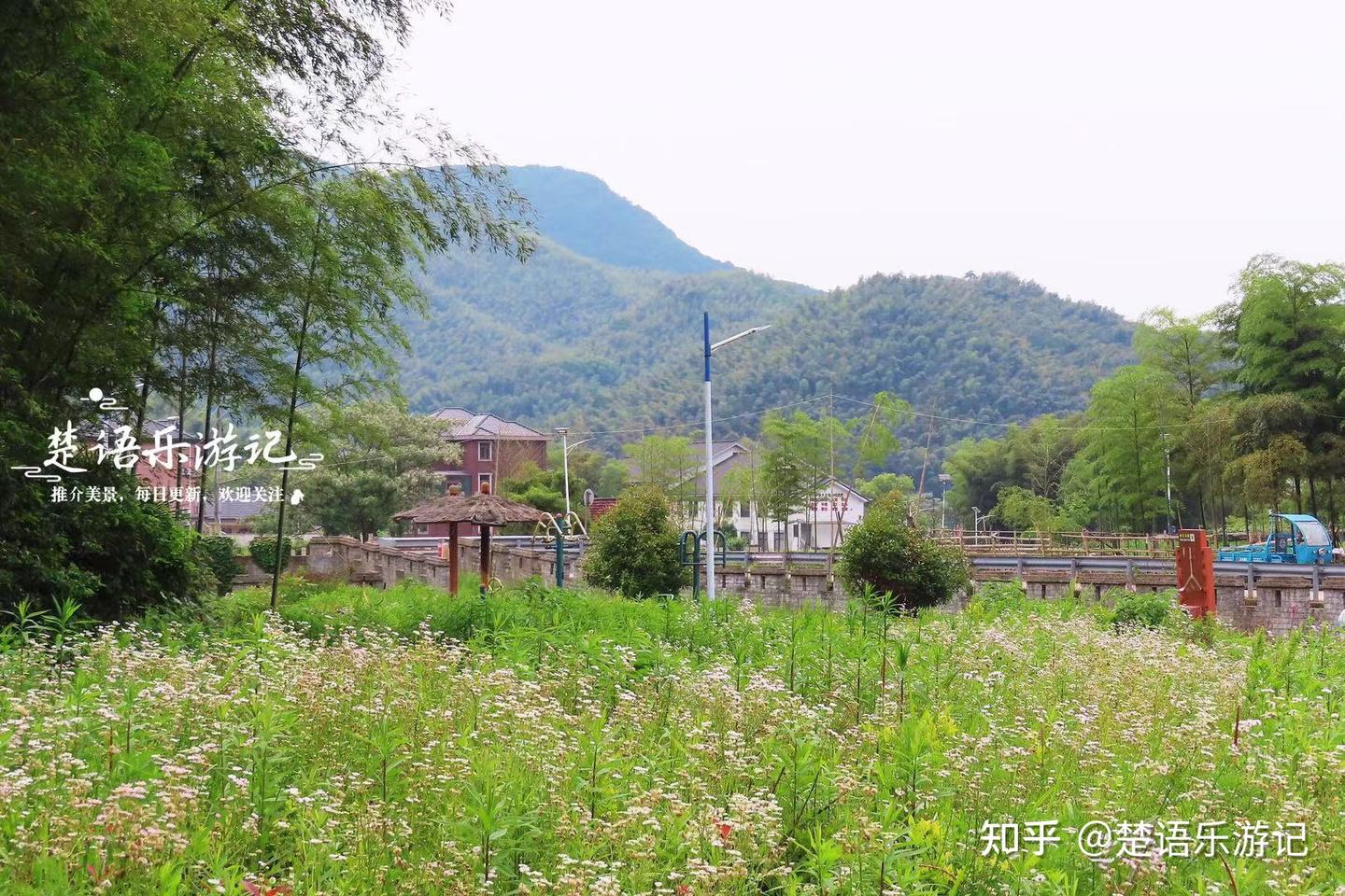 浙江上虞的千年古村，水库被誉为绍兴的小九寨，绿如翡翠景色宜人 - 知乎