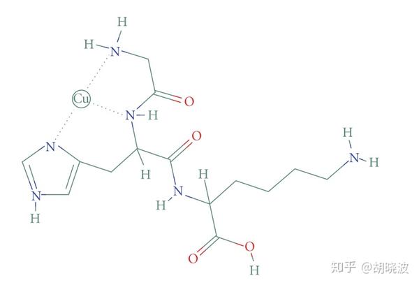 蓝铜胜肽结构