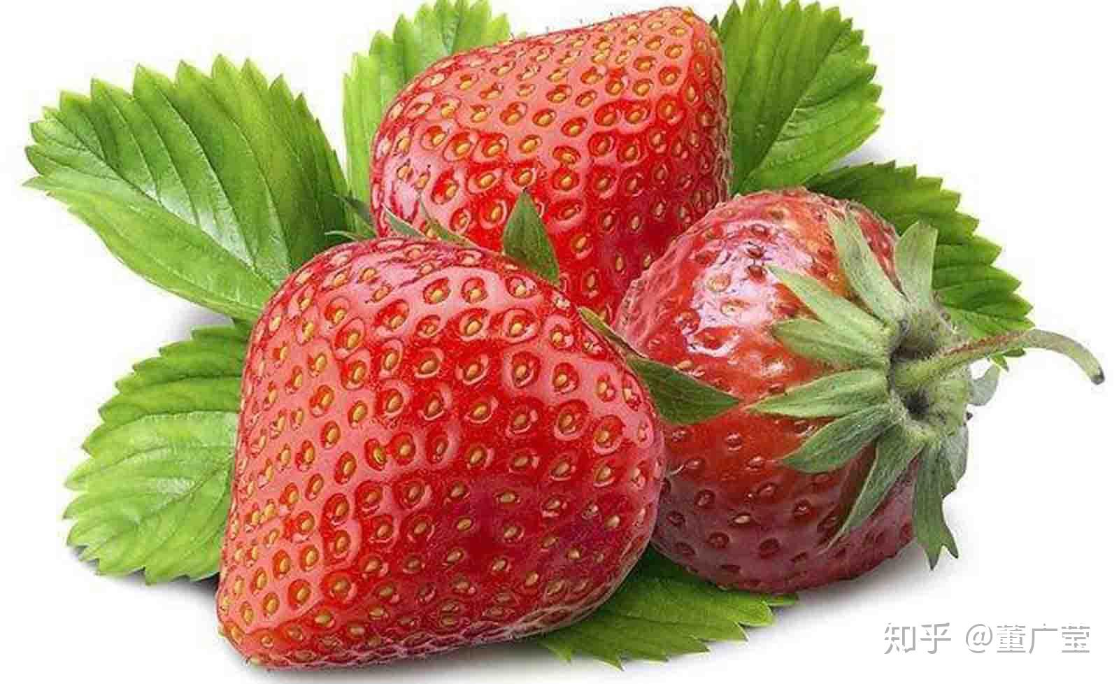 新鲜的草莓图片素材_免费下载_jpg图片格式_VRF高清图片501146482_摄图网