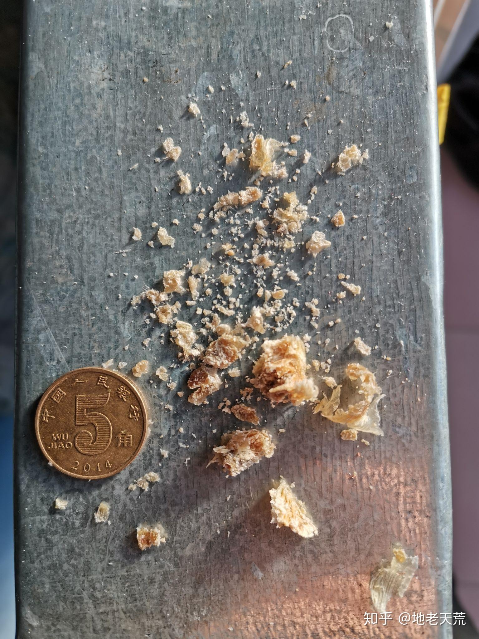 耳屎最大能有多大?