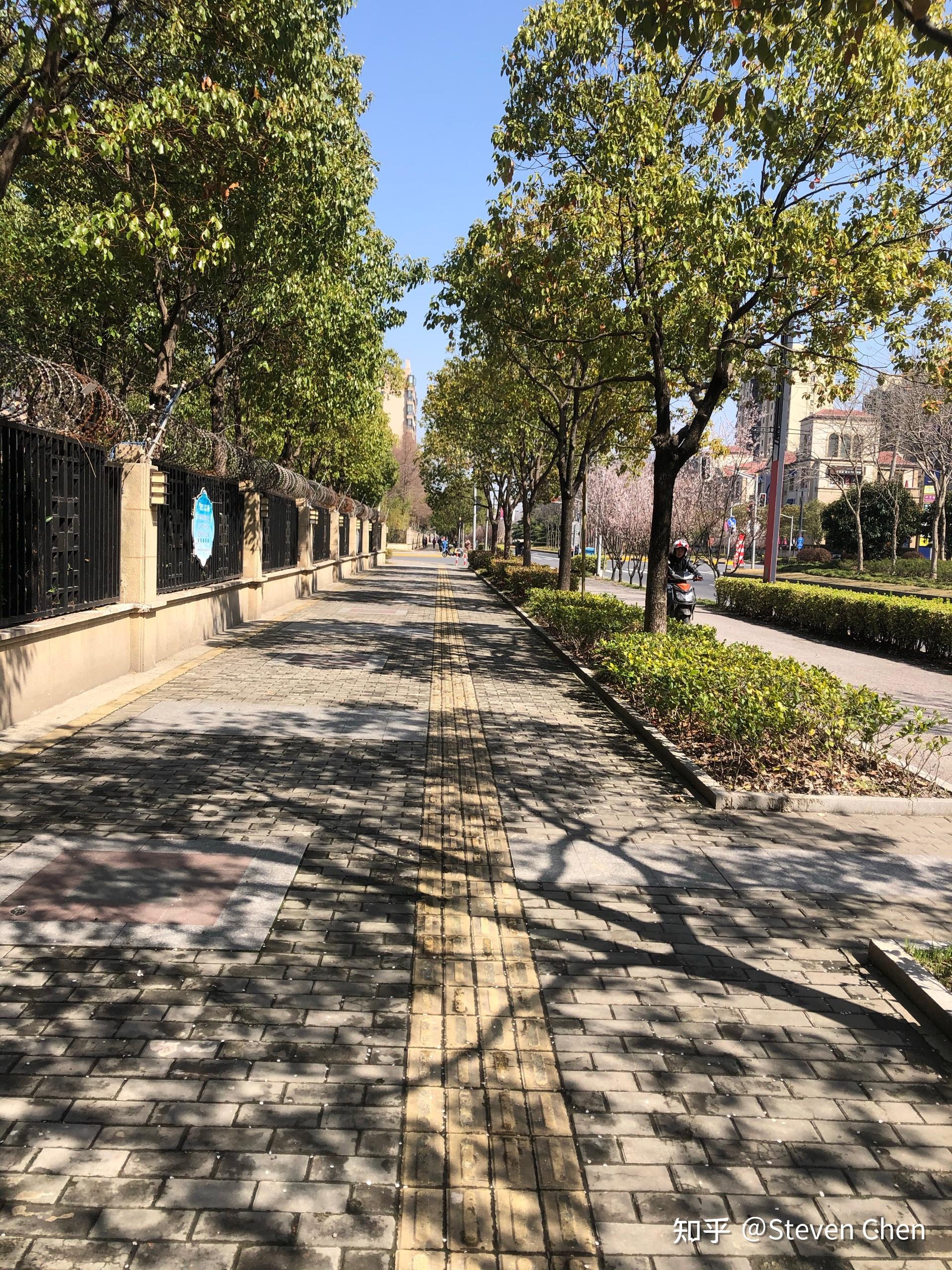 聊的这里,附上一张浦江镇的街景图,环境宜人的街道和居住环境.