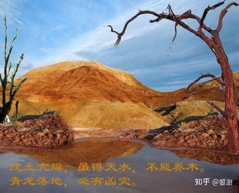 十天干之:戊土 - 知乎