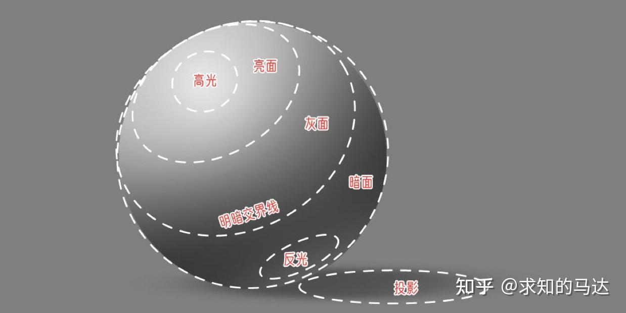 而「五大调」是「高光」,「中间调」,「明暗交界线」,「反光」与