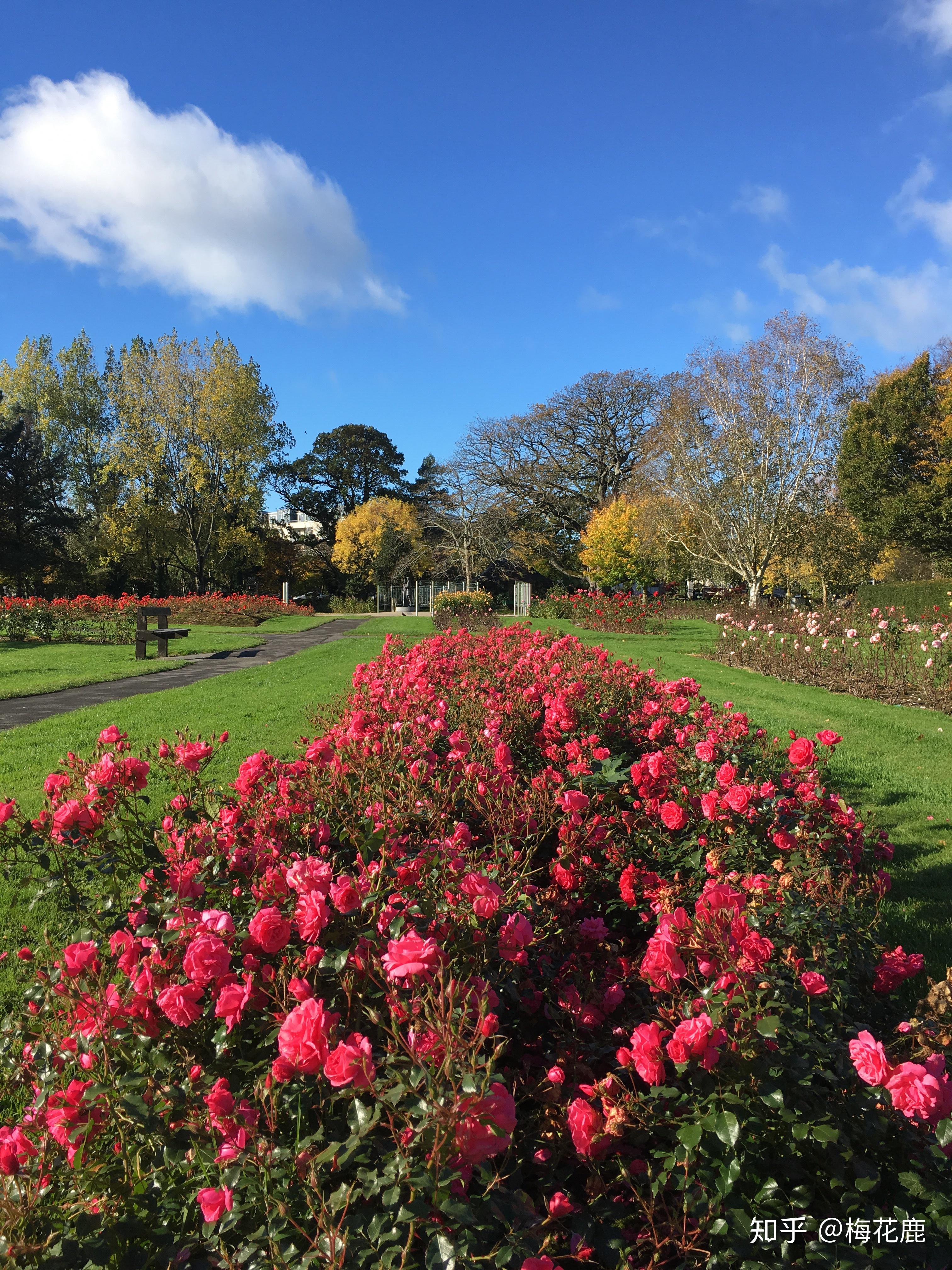 有没有工作三年之后继续考研留学的?