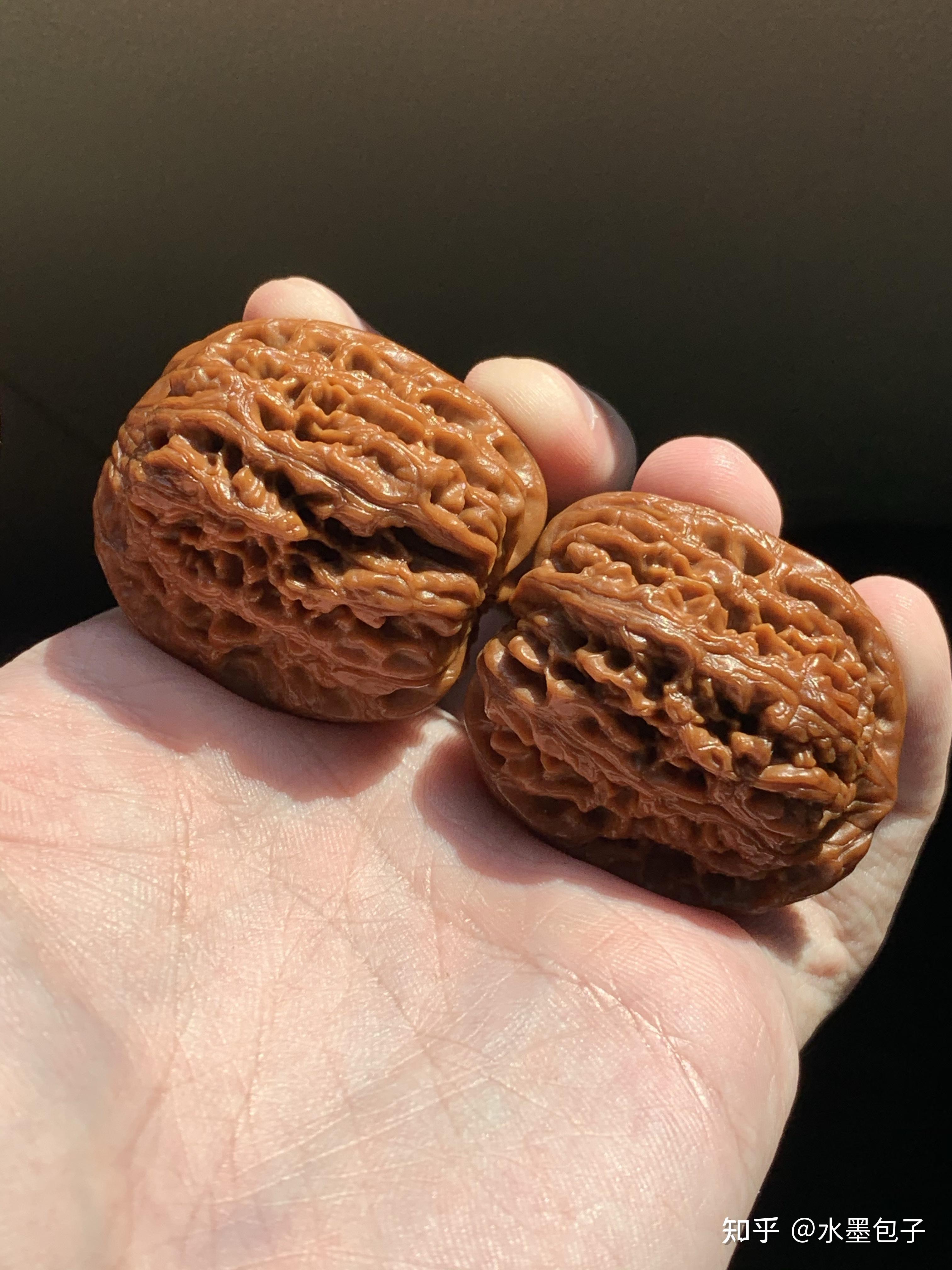 品种专辑二 西北将军膀