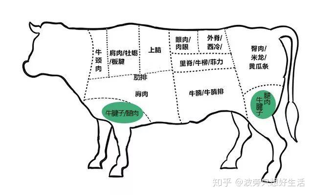 庖丁解牛的结构图图片