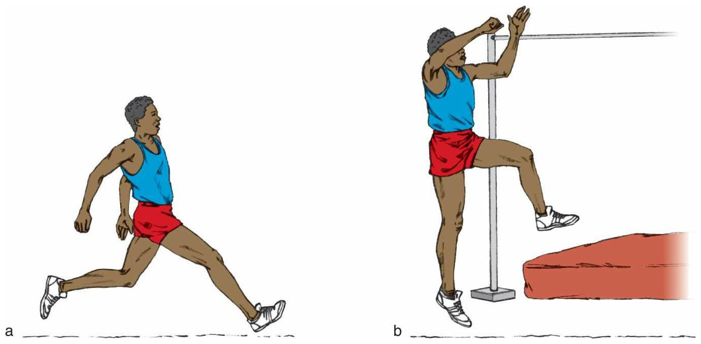 向后倾斜再向上挺直的起跳姿势会延长跳高运动员对地面的施力时间