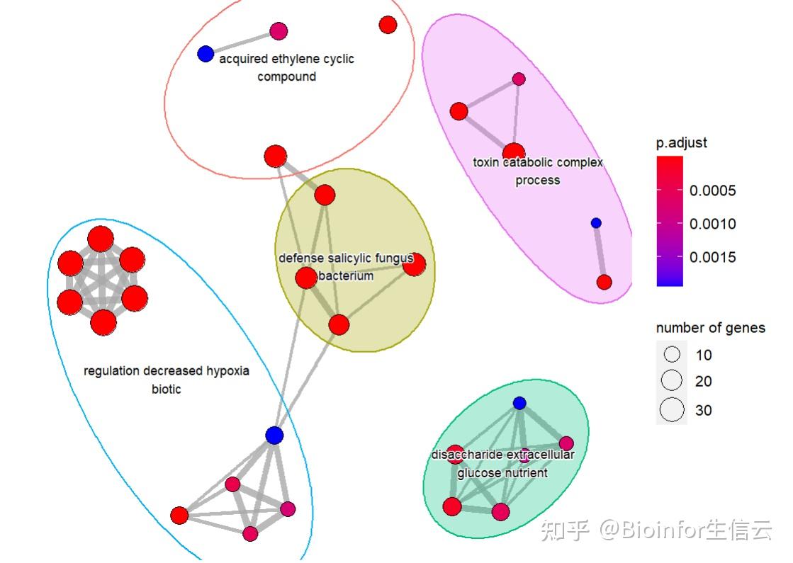 bulk RNASeq（9）富集分析 知乎
