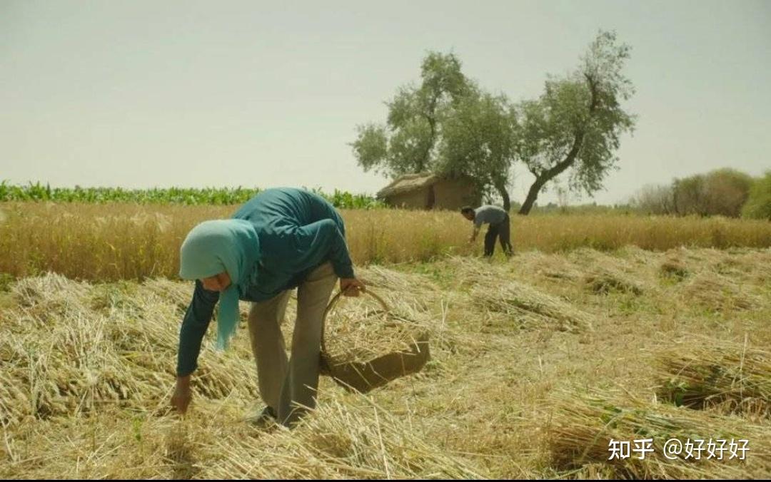作为土生土长的甘肃人,对电影《隐入尘烟》的几点看法